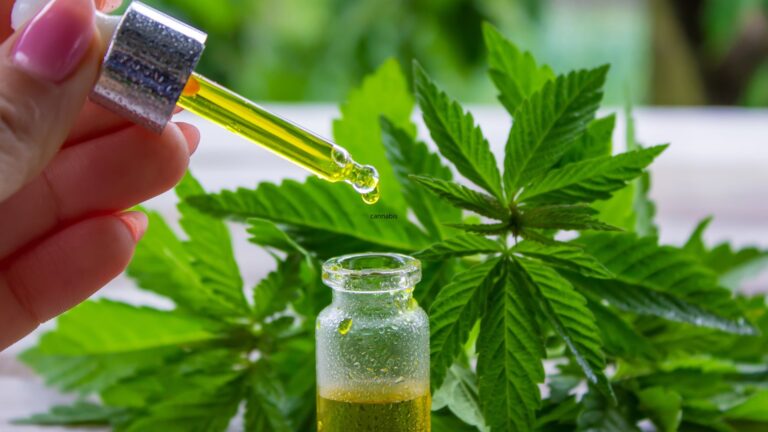 Desvendando os Benefícios da Cannabis Medicinal: Uma Jornada pela Saúde e Bem-Estar